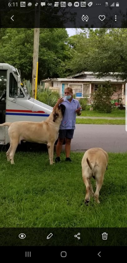 Trump with mail carrier