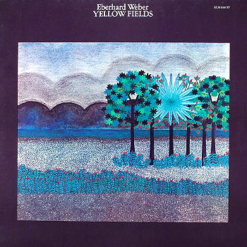 yellow-fields