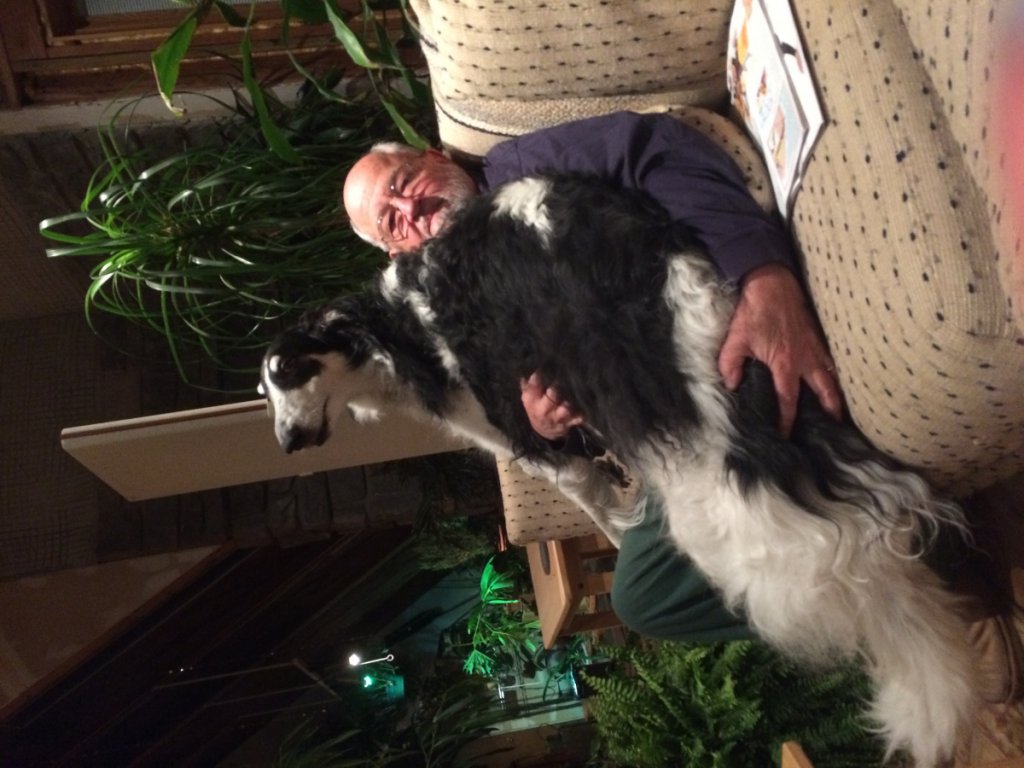 Jerry, our Borzoi whom I allowed to sit in my lap.
