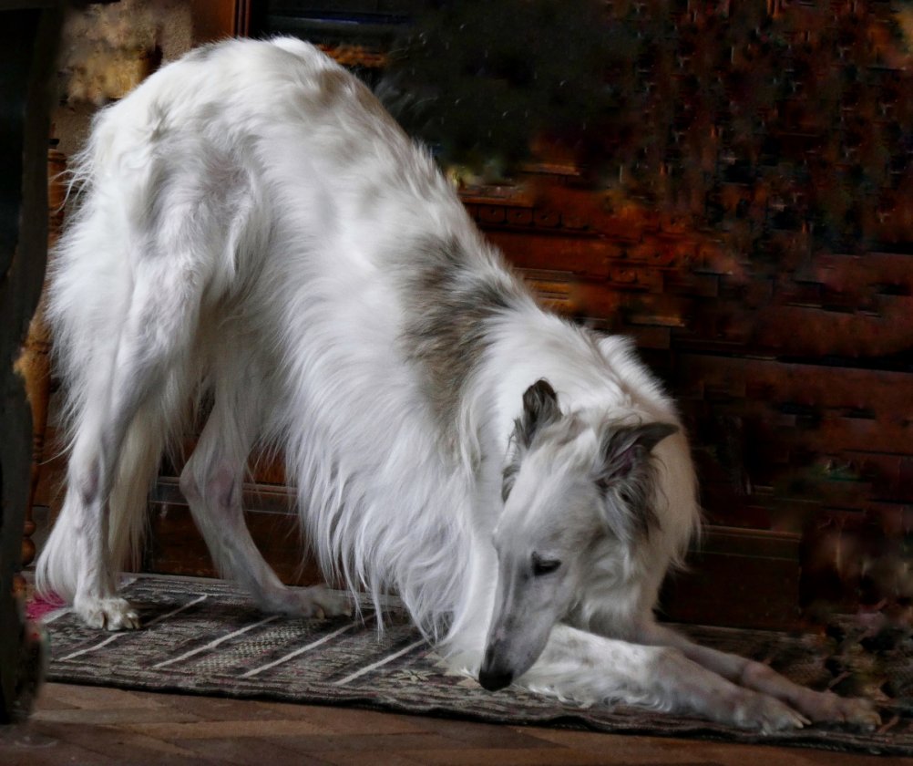 Zephyr (40 pounds)