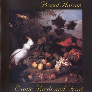 birds fruit