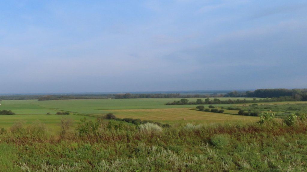 Hwy-219-Field