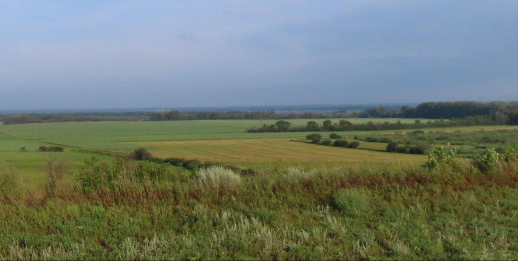 Zoomed-Farmers-Field-Hwy-219