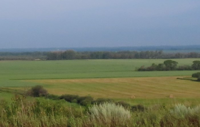Zoomed-Farmers-Field-Hwy-219