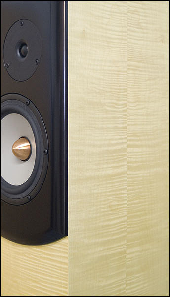 1801-TL-English Maple-cu