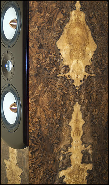 HT 2-TL-burledwalnut-cu
