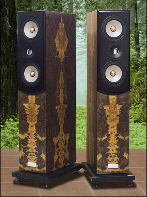 HT 2-TL-burledwalnut