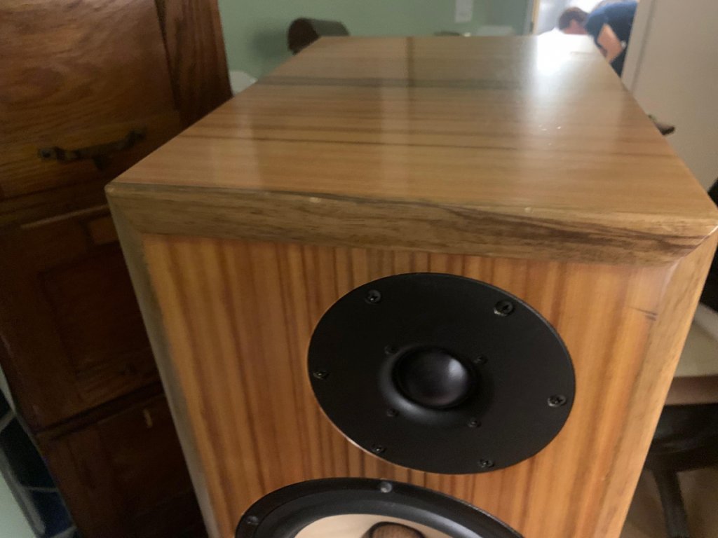 Speaker 1 - Top-with-Dings