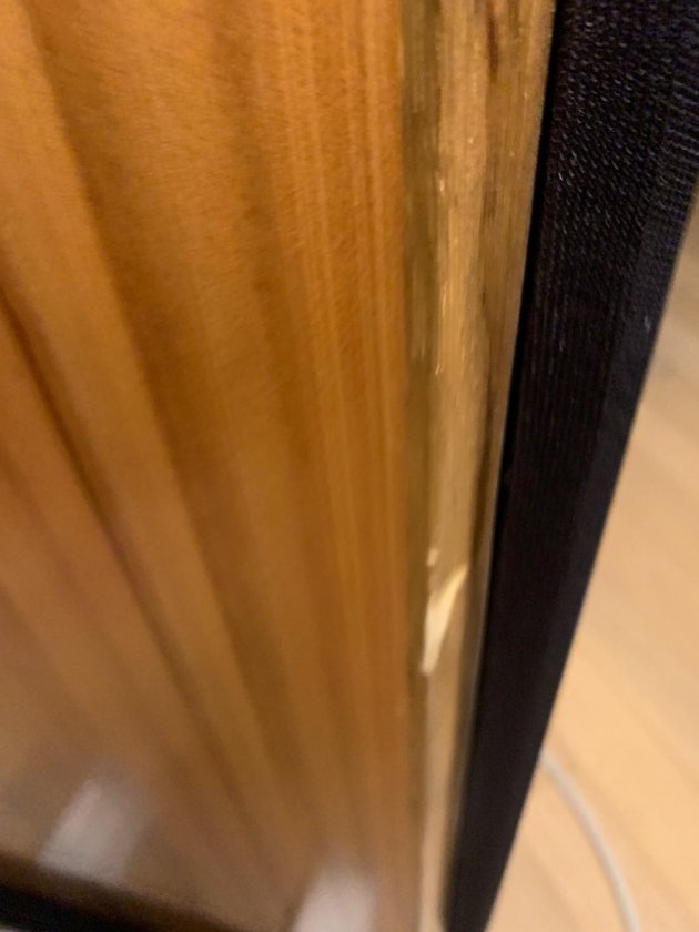 Speaker 1 - Veneer-scrape-2