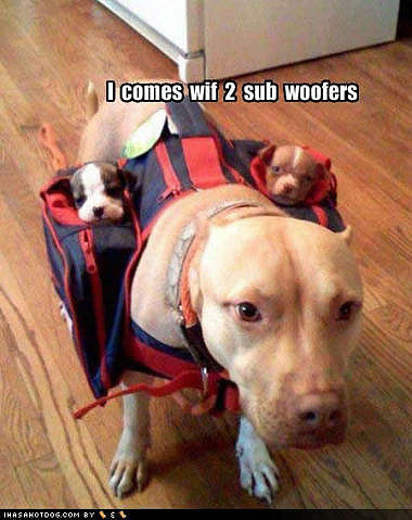 2 sub-woofers