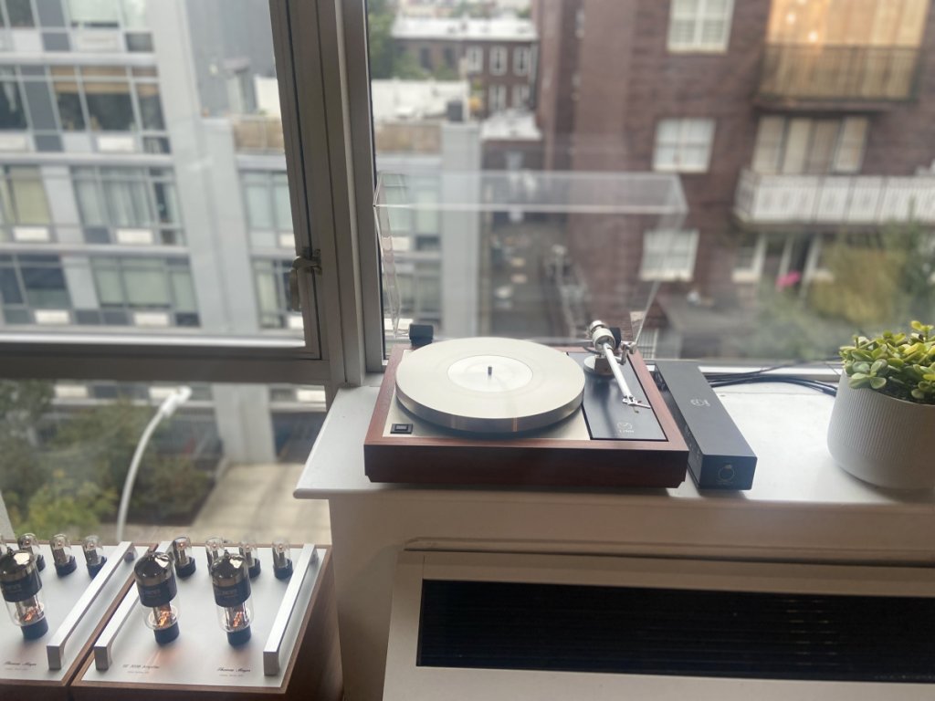 (Untitled)