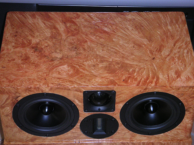 Maple Burl