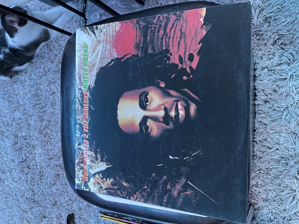 Natty Dread