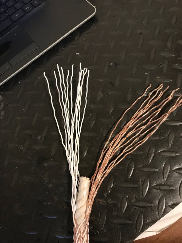 24 strand speaker cable assembly