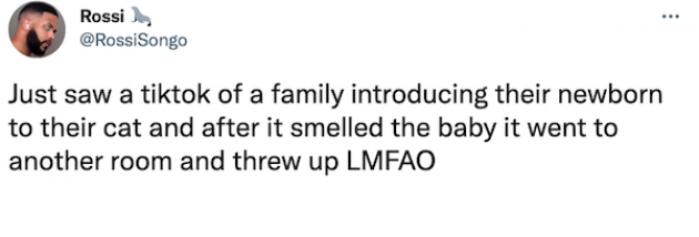 funny-tweets-15-2
