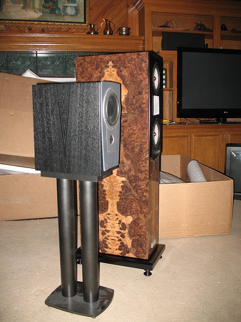(Untitled)