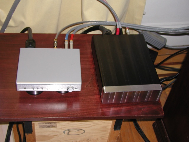 Birdland DAC on the left and Rowland 201 mono block on the right.