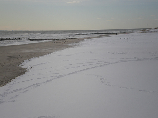 Long Beach 12/20/09