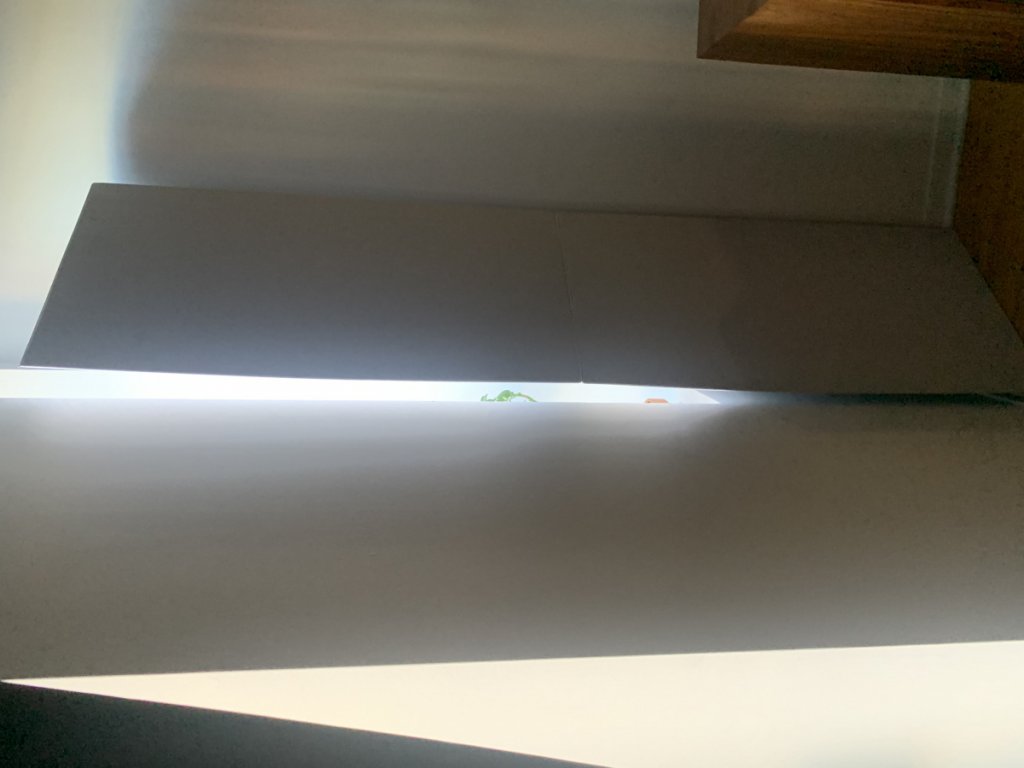 (Untitled)