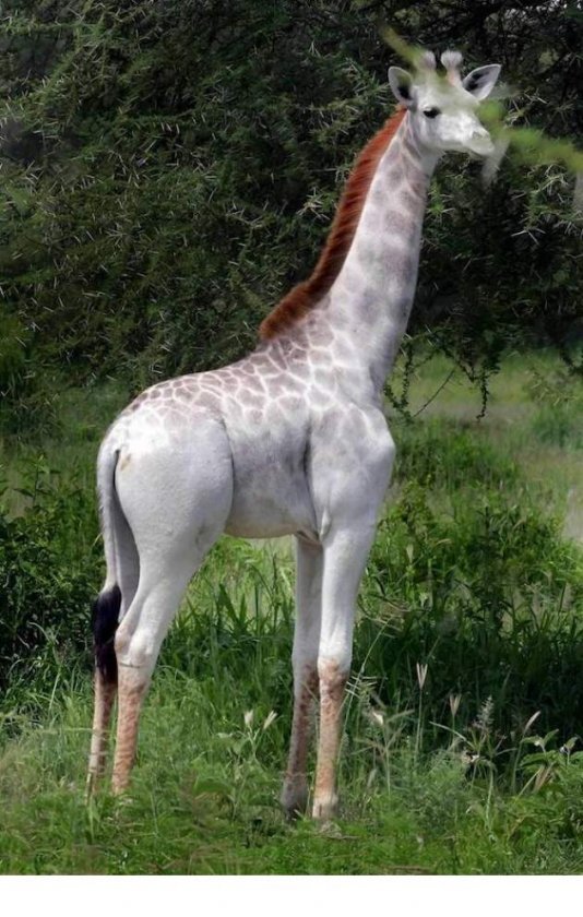 daily picdump 4231 640 high 26