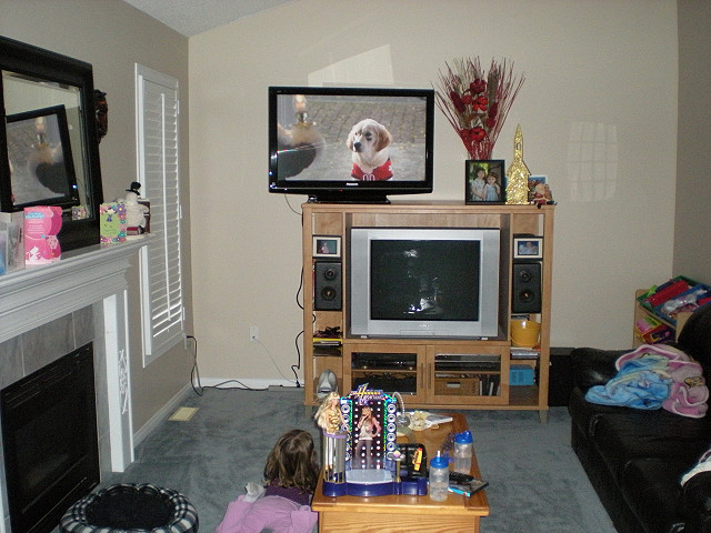 (Untitled)