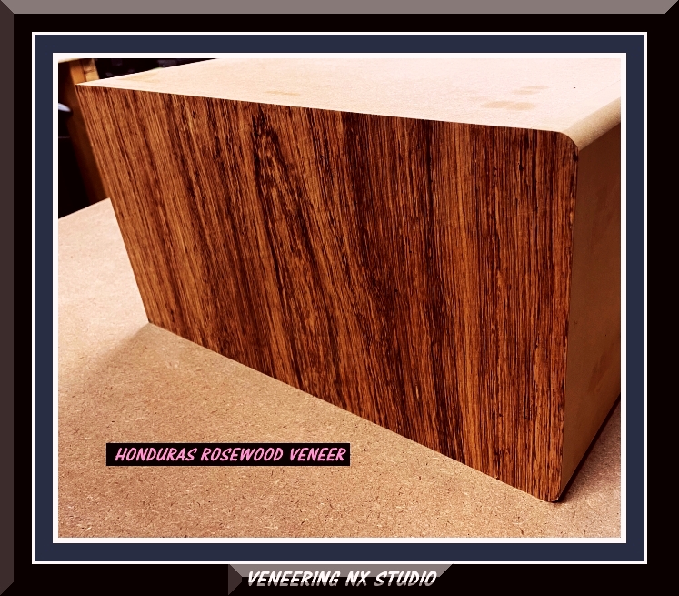 VENEERING-NX-STUDIO 2