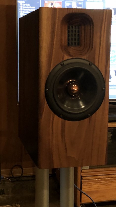 NX Studio by ML walnut baffle (1)