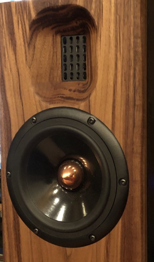 NX Studio by ML walnut baffle (4)