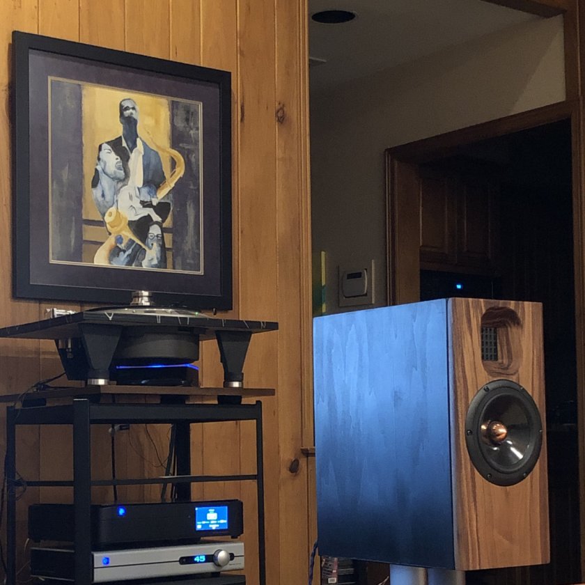 NX Studio by ML walnut baffle (11)