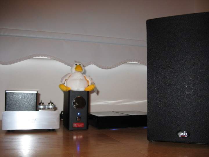 Office system showing the PSB B5 clothed, Virtue One amp and Grant Fidelity B-283 Tube Buffer.