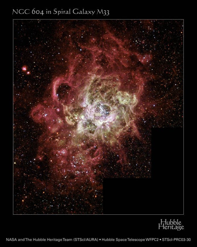 NGC604