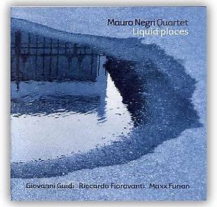 Mauro Negri Liquid Places