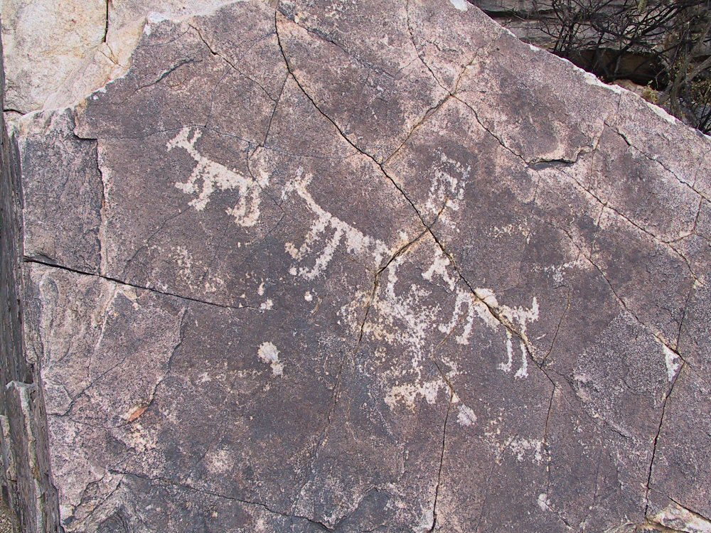 Coyote Mountains petroglyphs