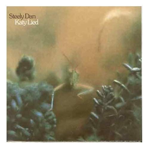 Katy Lied
