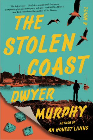 The Stolen Coast by Dwyer Murphy