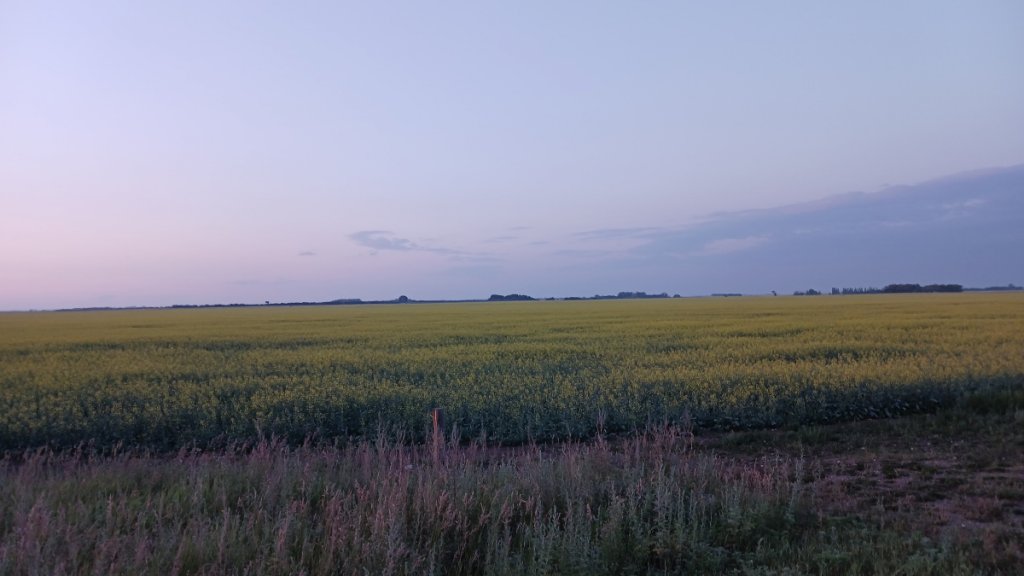 (Untitled)