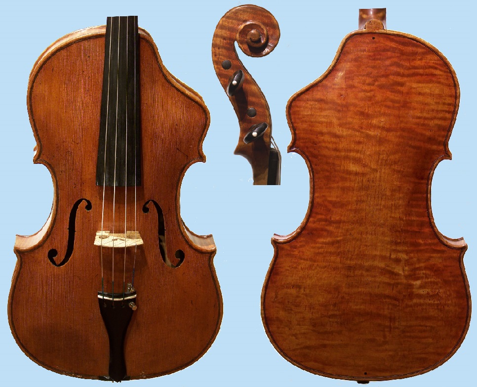 Viola1