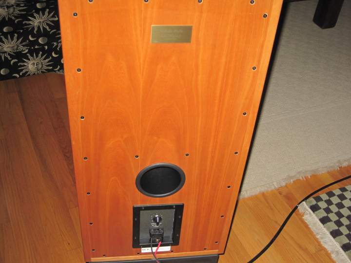 Back of Speaker