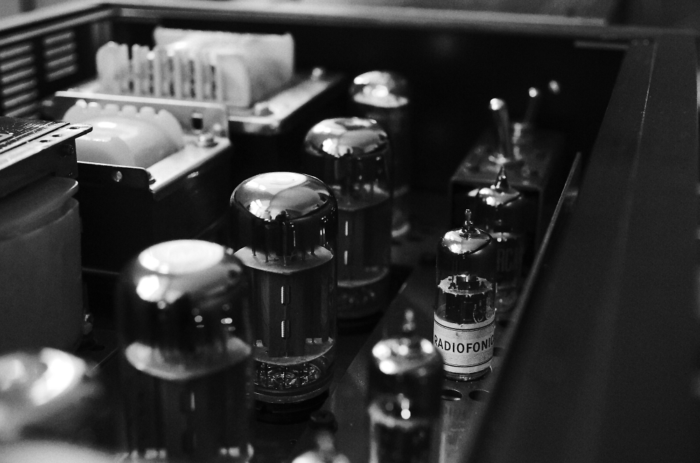 Top-view of Leben CS-600 tube amplifier.