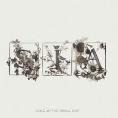 Sia - Color the Small One