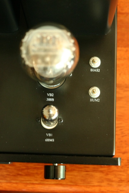 Close-up. Note controls for adjusting bias, hum for right channel