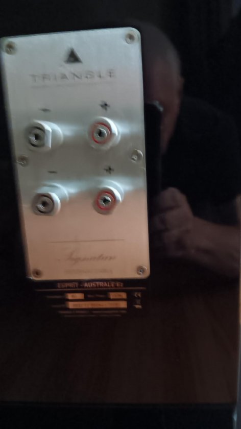 Triangle-Speakers-Australe-EZ-back-plate