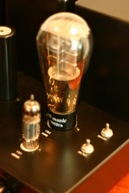 Closeup showing the bias and hum adjustment pots of the right channel