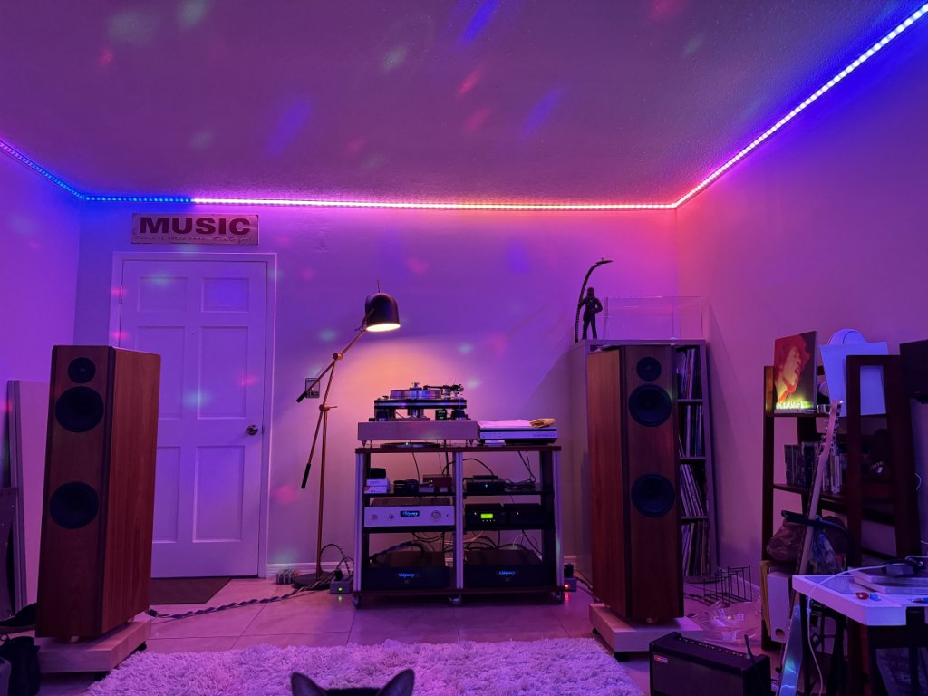 (Untitled)