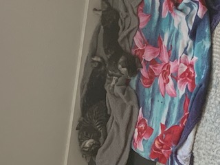 (Untitled)