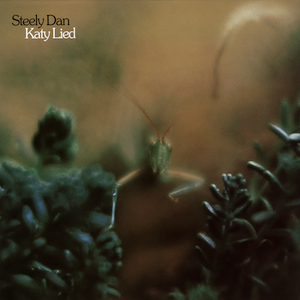 The just released 33 1/3 remaster. So good to have on vinyl again!