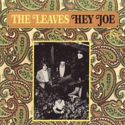 The Leaves - Hey Joe