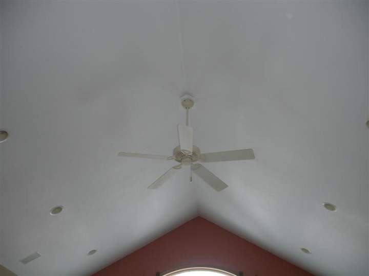 DSC05175 (Medium)