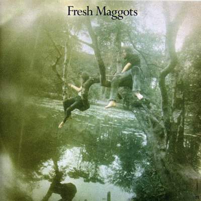 Fresh Maggots