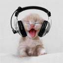 Kitten-in-headphones